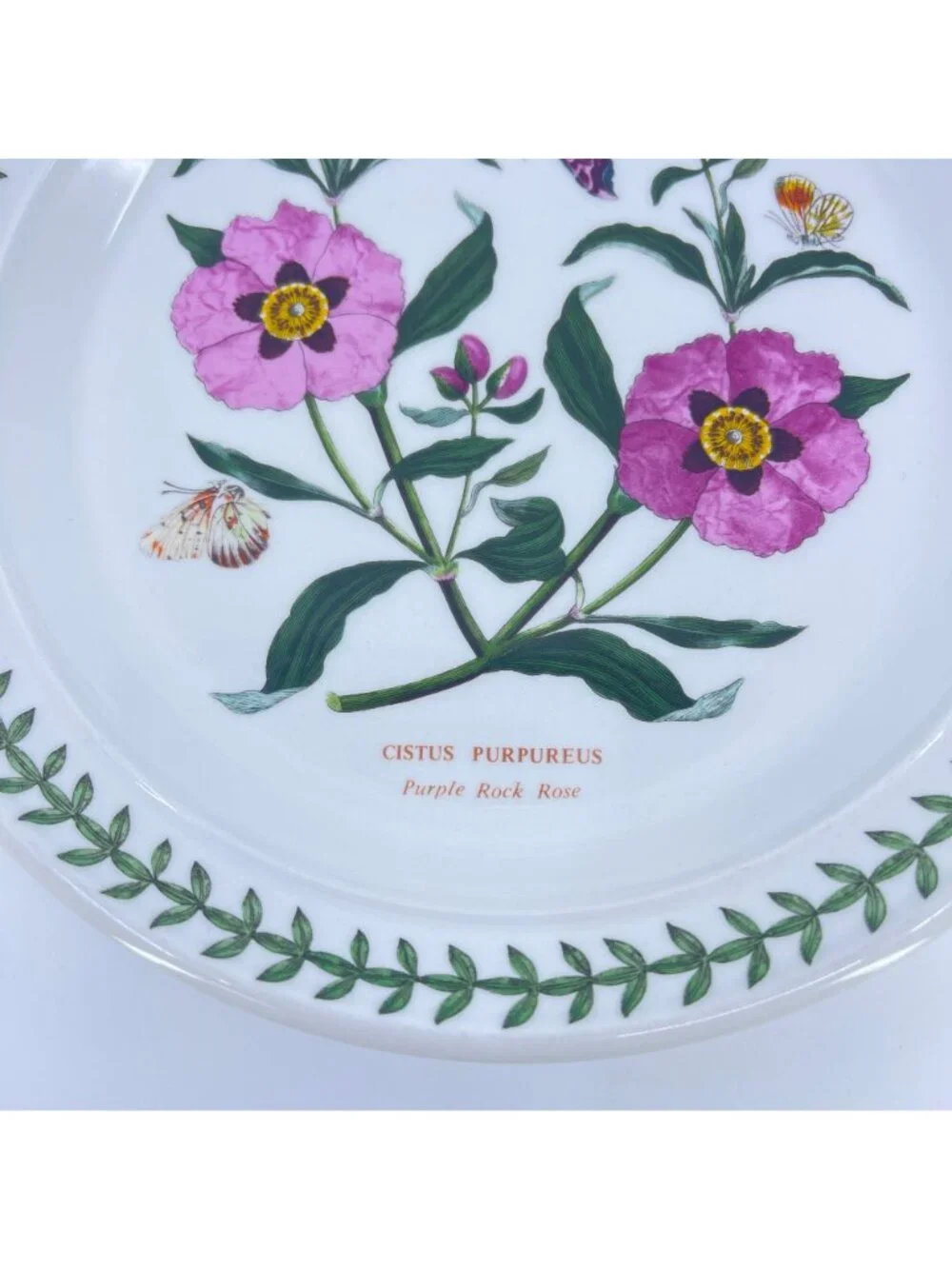 vintage portmeirion botanic garden purple rock rose salad plate 8 1/2